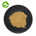 horsetail brass extract 10:1 ratio extraction horsetail